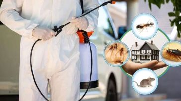 Σε ανάπτυξη ο κλάδος απεντομώσεων και μυοκτονιών