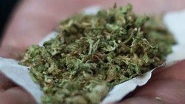 Σέρρες : Πήγε να παραλάβει δέμα με κάνναβη αλλά… τον άρπαξε οι σκύλος