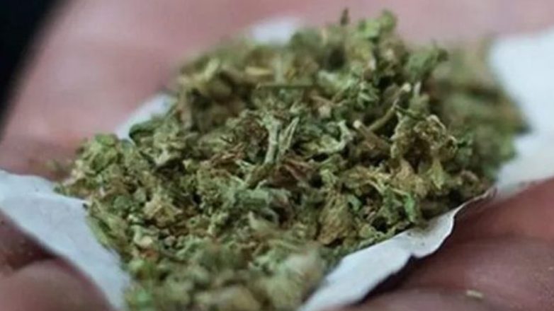 Σέρρες : Πήγε να παραλάβει δέμα με κάνναβη αλλά… τον άρπαξε οι σκύλος