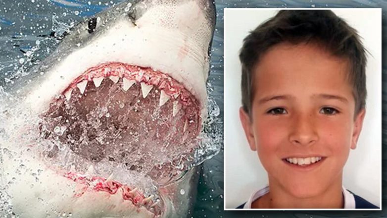 Αυστραλία: Έχασε τη μάχη 12χρονο αγόρι μετά από επίθεση καρχαρία στο Σίδνεϊ