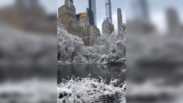 Χιονισμένο το πανέμορφο Central Park στη Νέα Υόρκη