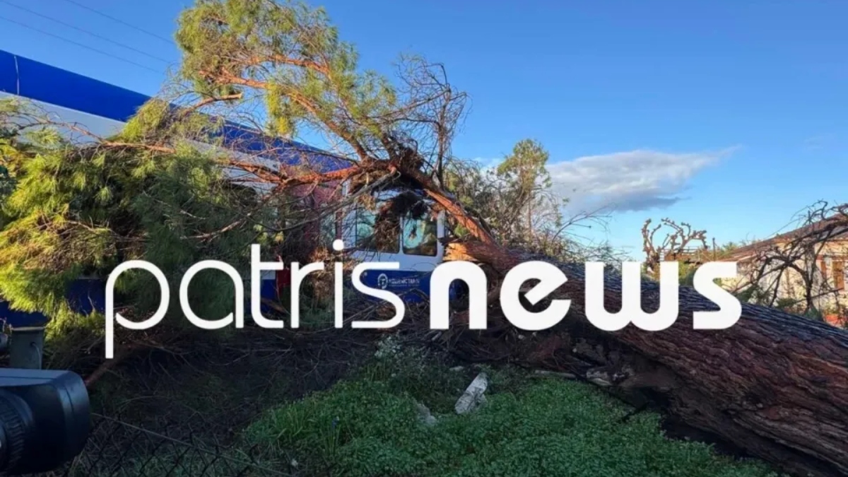 Δέντρο έπεσε σε τρένο και τραυμάτισε τον μηχανοδηγό