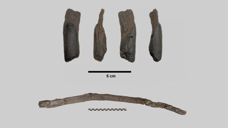 Στη Μεγαλόπολη τα αρχαιότερα ξύλινα εργαλεία στον κόσμο
