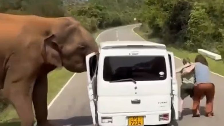 Σρι Λάνκα : Βίντεο με ελέφαντα που κοντεύει να σπάσει το minibus τουριστών