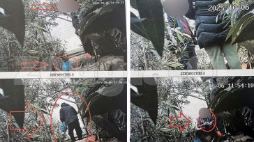 Ντοκουμέντα από τη δράση της σπείρας με τα ναρκωτικά στην Πανεπιστημιούπολη Ζωγράφου