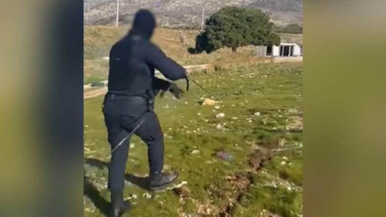 «Ξήλωσαν» παράνομο καλώδιο ρεύματος μήκους… ενός χιλιομέτρου!