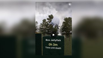 Τα πιο δηλητηριώδη πλάσματα του πλανήτη – Βίντεο