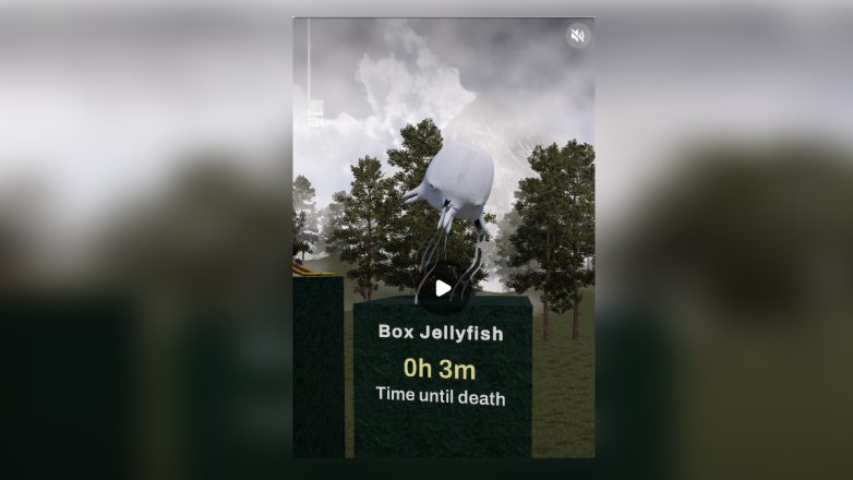 Τα πιο δηλητηριώδη πλάσματα του πλανήτη – Βίντεο Τα πιο δηλητηριώδη πλάσματα του πλανήτη – Βίντεο