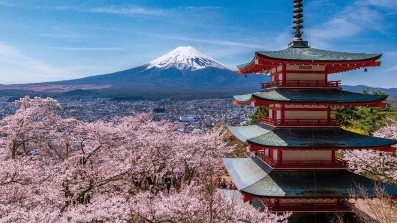 Ιαπωνία: Ακυρώθηκε το φεστιβάλ των «Ανθισμένων Κερασιών» λόγω «απρεπούς» συμπεριφοράς τουριστών