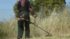 Τι αλλάζει στους καθαρισμούς των οικοπέδων με το νομοσχέδιο «Ενεργή Μάχη»