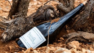 ΑΡΧΕΓΟΝΑ ΕΔΑΦΗ: Ανάμεσα στα 50 κορυφαία κρασιά