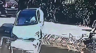 Άφησε το αυτοκίνητο να παρκάρει μόνο του και εκείνο έπεσε στη λίμνη (Βίντεο)