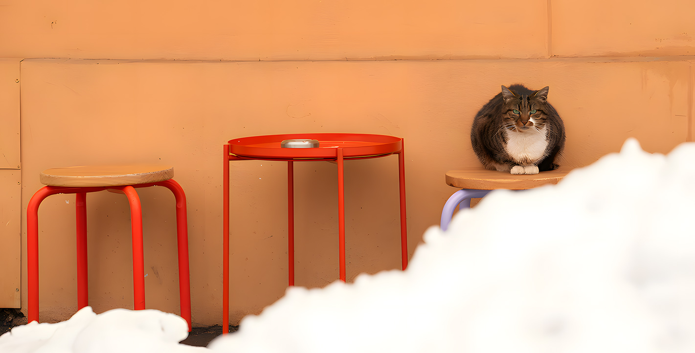 Αγναντεύοντας το χιόνι στο Βουκουρέστι