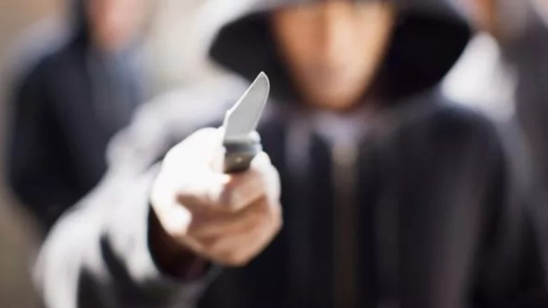 Αιματηρό επεισόδιο στο καρναβάλι της Έδεσσας Αιματηρό επεισόδιο στο καρναβάλι της Έδεσσας