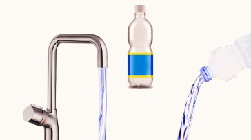 Οι κίνδυνοι του εμφιαλωμένου νερού: Γιατρός του Harvard εξηγεί πώς θα κάνουμε το νερό βρύσης πιο ασφαλές