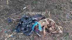 Ακέφαλη η σορός που βρέθηκε στη Χαλκιδική