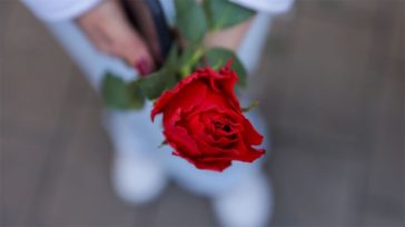 Δικαιώματα των γυναικών: πέντε πράγματα που πρέπει να γνωρίζουμε για την Παγκόσμια Ημέρα της Γυναίκας