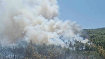 Φωτιές σε Σούλι Κορινθίας και Αίγες Αχαΐας