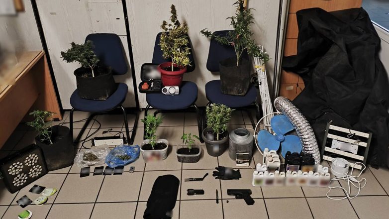Εντοπίστηκε εργαστήριο καλλιέργειας κάνναβης εντός οικίας στη Νέα Χαλκηδόνα