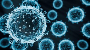 Πρώτο ανθρώπινο κρούσμα της γρίπης των πτηνών στην Ιταλία