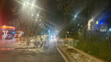 Διακοπή κυκλοφορίας στην οδό Πειραιώς από πτώση δέντρου