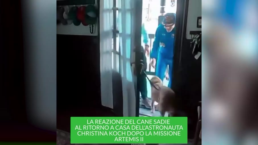 Η πιο θερμή υποδοχή: Όταν η αγάπη ενός σκύλου δεν γνωρίζει όρια