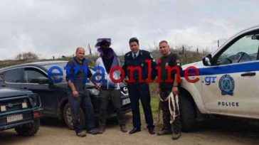 Εύβοια: Διάσωση άνδρα από βαλτώδη περιοχή στην Κερασιά