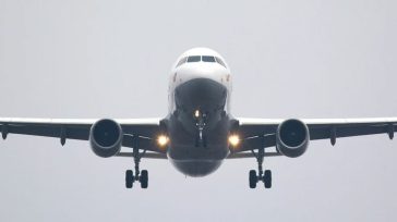 Παλαιστίνιος επιδείκνυε τα γεννητικά του όργανα στις αεροσυνοδούς