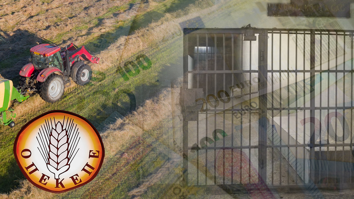 Φυλακισμένος έστηνε εταιρείες με ψεύτικα τιμολόγια για επιδοτήσεις από τον ΟΠΕΚΕΠΕ