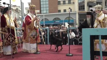 Αντιδράσεις φιλόζωων για τον Αμβρόσιο ο οποίος απώθησε σκυλάκι