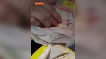 Τεργέστη: Πέταξε κατά λάθος 7.000 ευρώ στα σκουπίδια και τα βρήκαν μετά από έρευνα