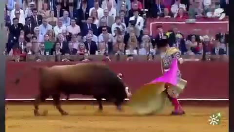 Σεβίλλη: Γνωστός ταυρομάχος τραυματίστηκε σοβαρά από τα κέρατα του ταύρου
