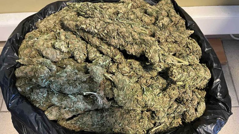 Αίγιο: Συνελήφθη με 30 κιλά κάνναβης στο αμάξι του