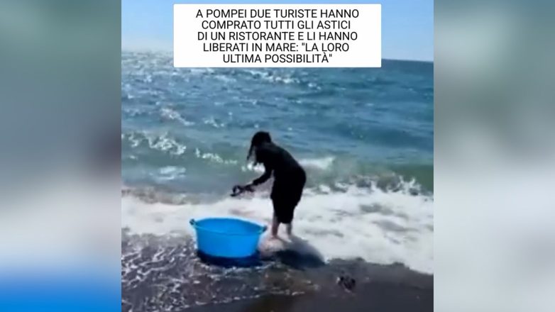 Αγόρασαν όλους τους αστακούς για να μην καταλήξουν στο… μενού εστιατορίου