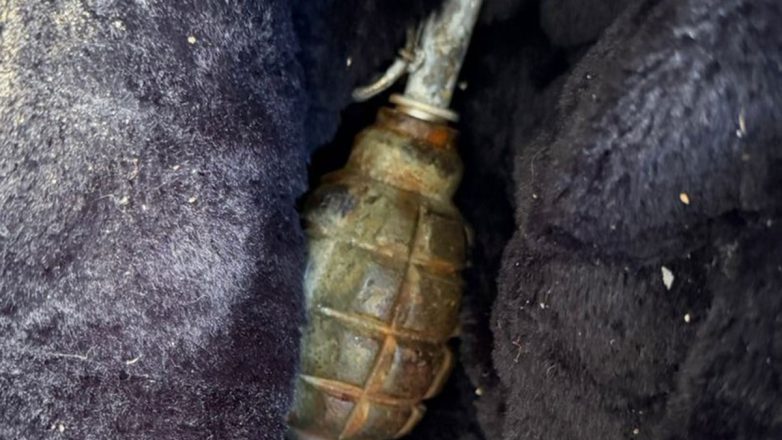 Κυψέλη: Εντοπίστηκε χειροβομβίδα σε μπαλκόνι