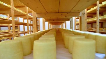 «Αποπλέουν» τα ώριμα τυριά της Λέσβου