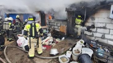 Ρωσία: Πυρκαγιά σε εκτροφείο ζώων σκότωσε 200 σκυλιά