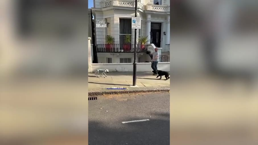 Τεχνητή νοημοσύνη: Πραγματικός σκύλος συναντά σκύλο-ρομπότ
