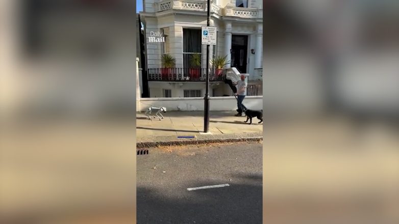 Τεχνητή νοημοσύνη: Πραγματικός σκύλος συναντά σκύλο-ρομπότ