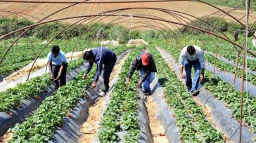 Φυματίωση σε εργάτες γης από το Νεπάλ σε Αχαΐα και Ηλεία