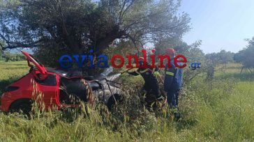 Ερέτρια: Αυτοκίνητο έπεσε σε ελιά και τυλίχθηκε στις φλόγες