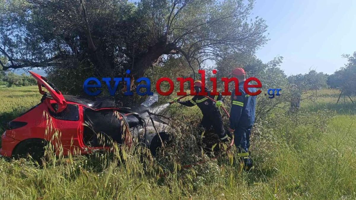 Ερέτρια: Αυτοκίνητο έπεσε σε ελιά και τυλίχθηκε στις φλόγες