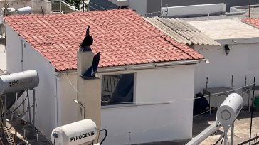 Περιστέρι: Τρεις καταγγελίες και μια χαμένη επιμέλεια πίσω από τα παιδιά που ζούσαν στα σκουπίδια