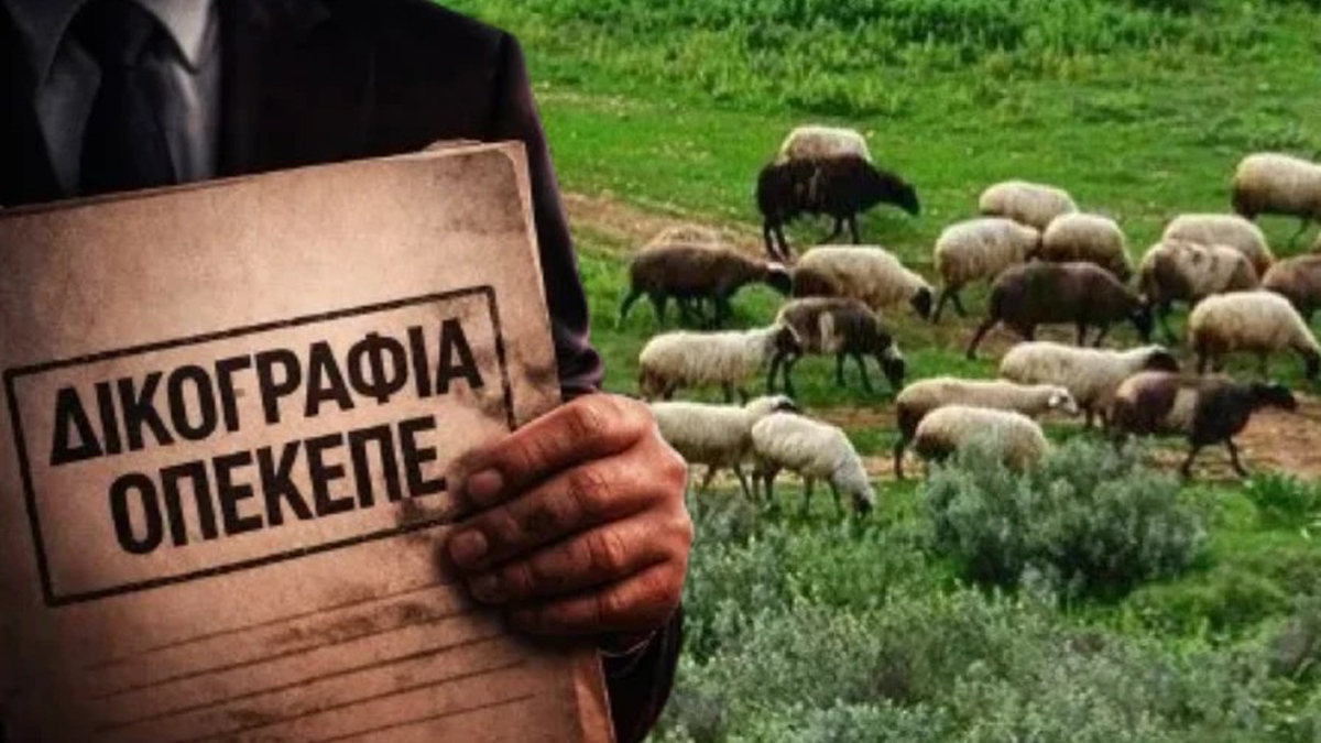 Αντιδήμαρχος από το Ρέθυμνο στους συλληφθέντες για τις παράνομες επιδοτήσεις