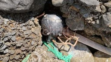Θρίλερ στην Κρήτη από αδέσποτη νάρκη θαλάσσης