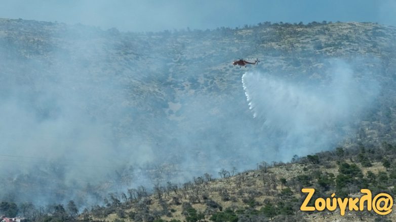 Χωρίς ενεργό μέτωπο η φωτιά στον Ασπρόπυργο