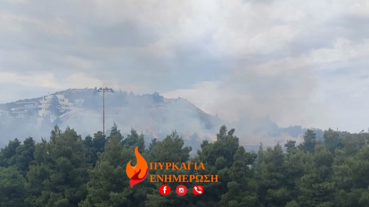 Φιλοθέη: Φωτιά κοντά στο Άλσος – Σηκώθηκαν 2 ελικόπτερα
