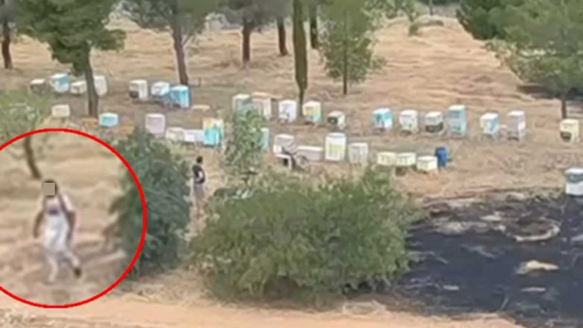 Αθώος ο μελισσοκόμος για τη φωτιά στο Άλσος Βεΐκου
