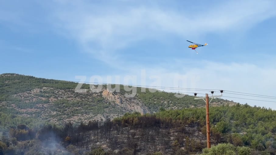 Σε ύφεση η πυρκαγιά στο Λουτράκι – Συνελήφθη 70χρονος για εμπρησμό