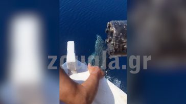Χαλκιδική: Μια ξεχωριστή συνάντηση στη θάλασσα, ανάμεσα σε έναν ψαρά και δελφίνια